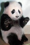 Anonymous's Avatar