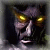 Cipdiuch's Avatar