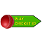 playcricketid's Avatar